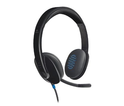 Logitech H540 Kablolu Kulaklık 981-000480 resmi