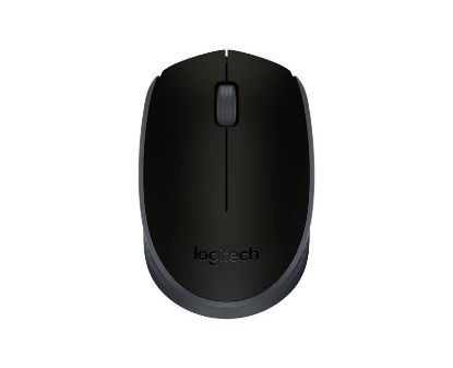 Logitech M171 Kablosuz Mouse USB Siyah 910-004424 resmi